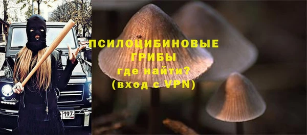 дурь Алексин