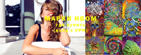 гашик Алзамай