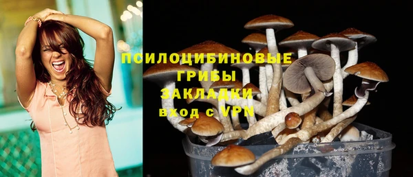 экстази Алексеевка