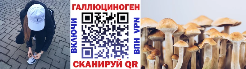 гидра сайт  Чухлома  Галлюциногенные грибы GOLDEN TEACHER 